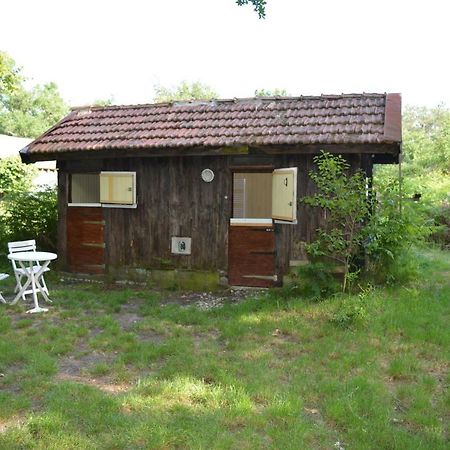 Cabane en forêt Onesse-et-Laharie Extérieur photo